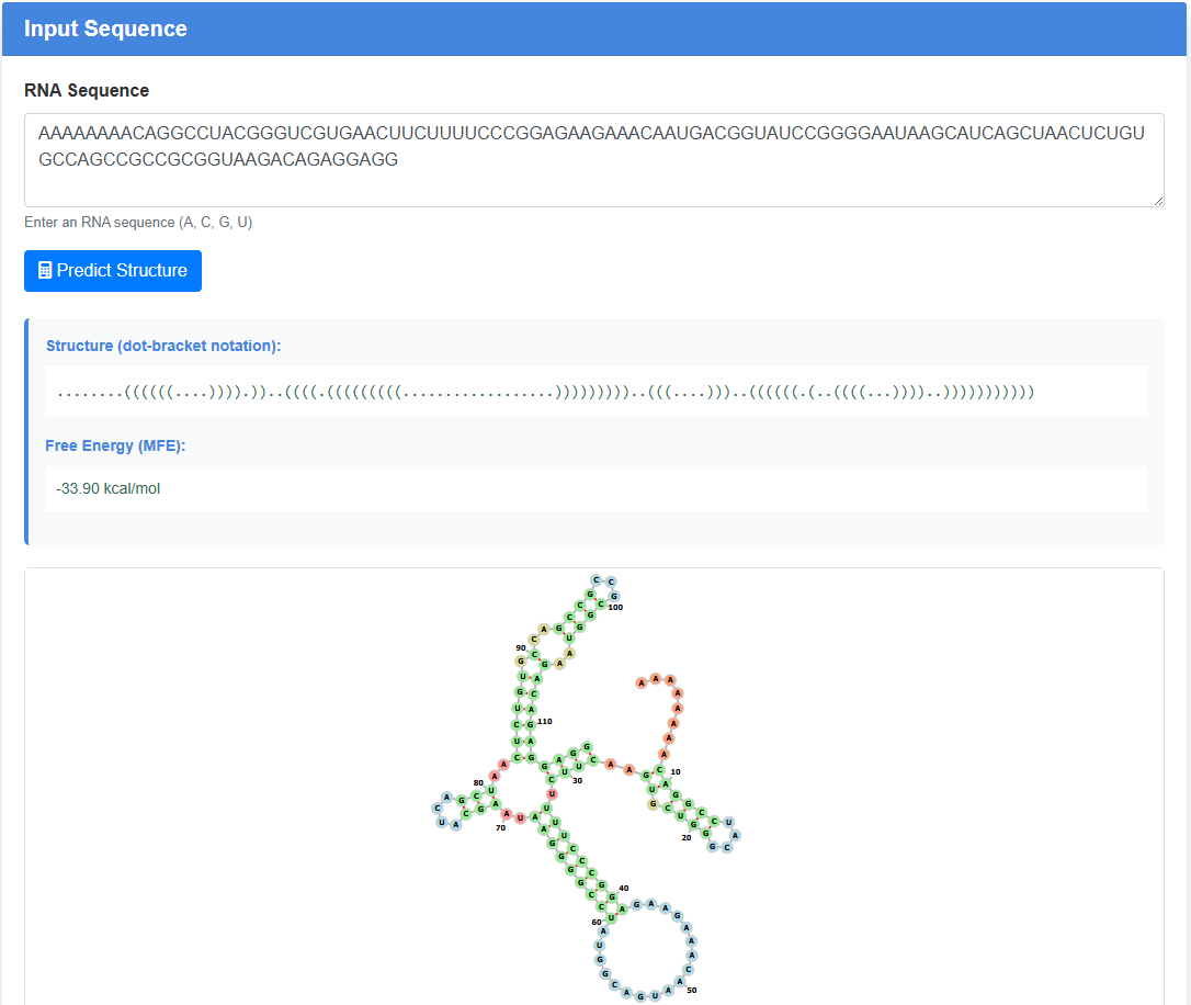 RNA Structure Prediction screenshot