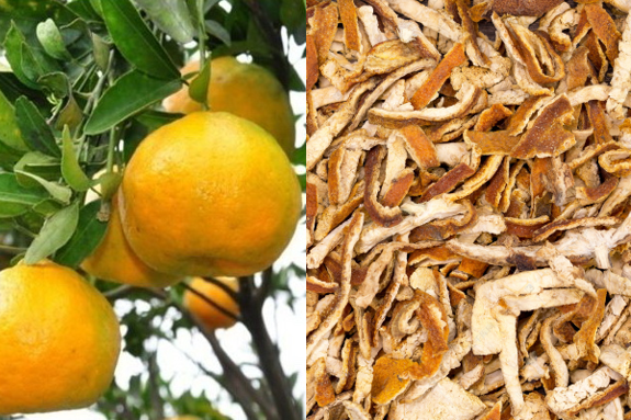 Citrus reticulata cv. Chachiensis