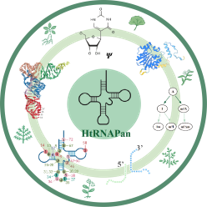 HtRNAPan logo